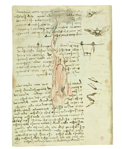 Codex on the Flight of Birds, Folio 17 Verso by Leonardo da Vinci